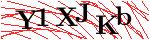 Y1XJKb