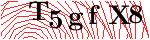 T5gfX8